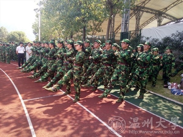 网络赌博网站