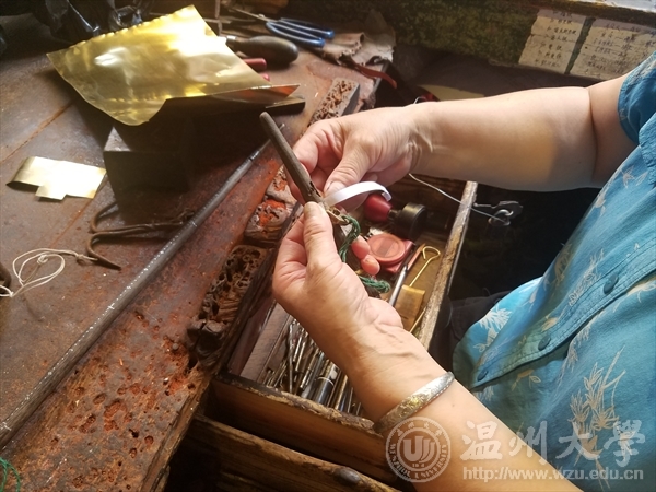网络赌博网站