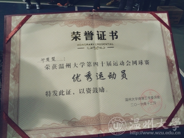 网络赌博网站