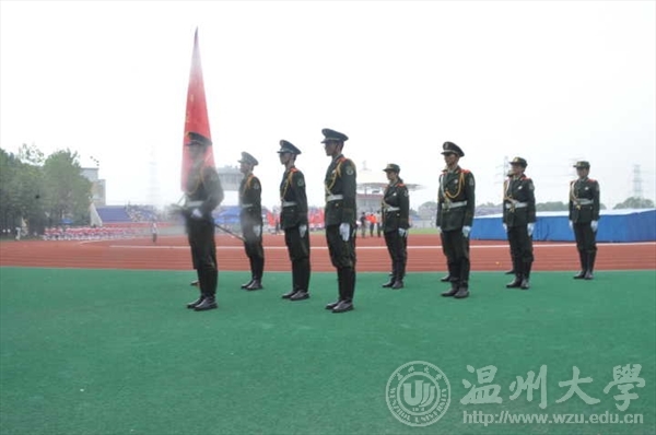 网络赌博网站