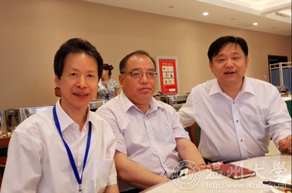 网络赌博网站