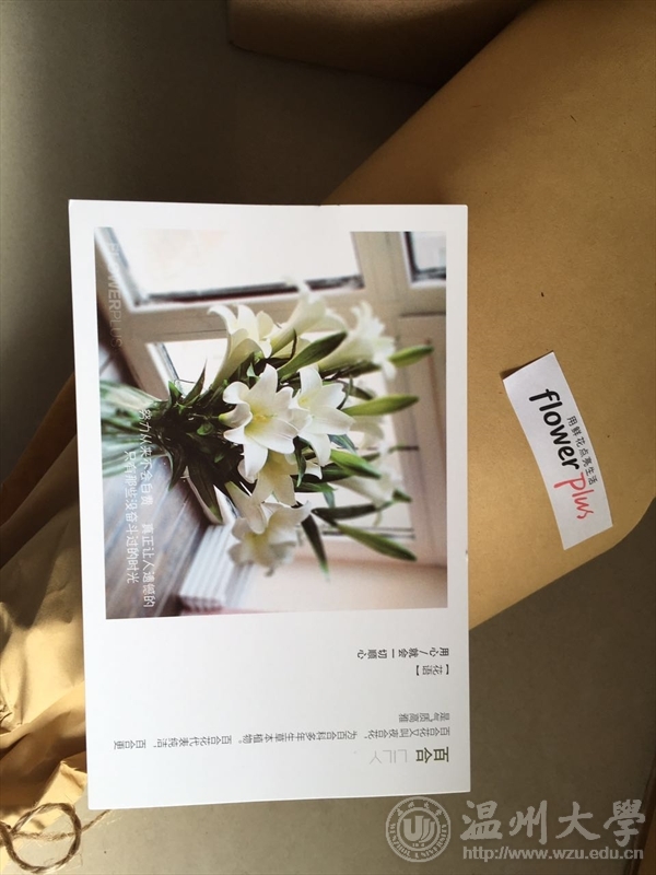 网络赌博网站