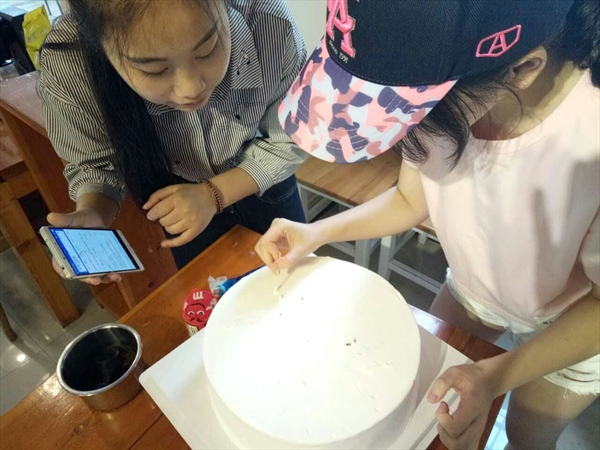 网络赌博网站