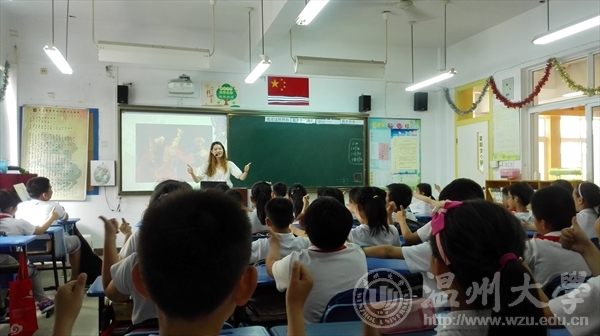 网络赌博网站